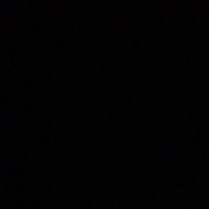 Meet your Posher, Tess